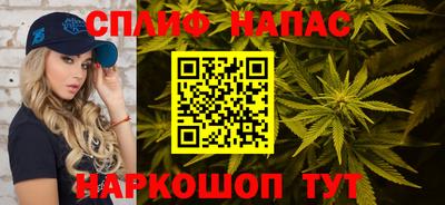 ALPHA PVP Гай