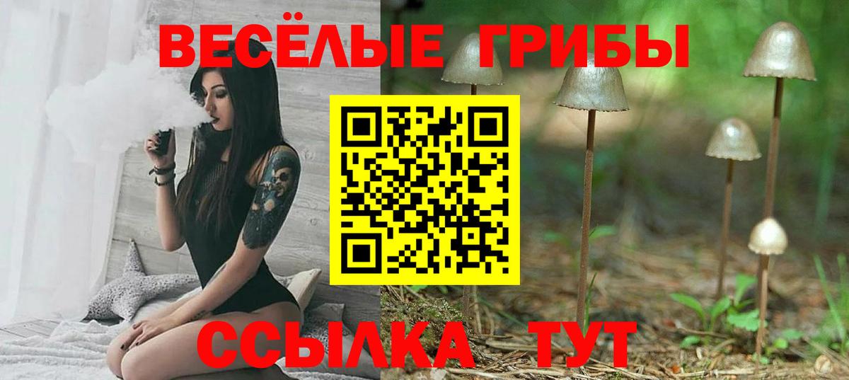 Галлюциногенные грибы Psilocybine cubensis Назарово
